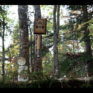 Meet your Posher, Jesse